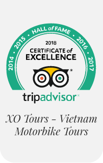 XO Tours on TripAdvisor